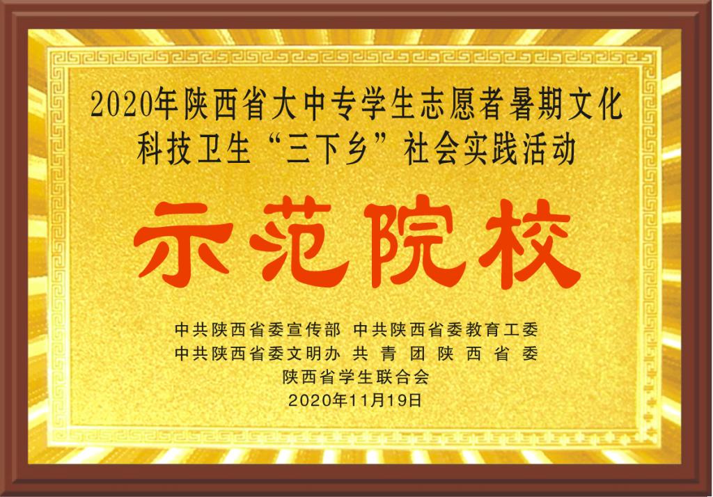 2020年陕西省大中专学生志愿者暑期文化科技卫生“三下乡”社会实践活动 示范校园