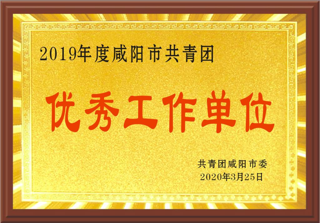 2019年咸阳市共青团优秀工作单位