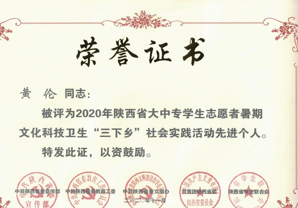 2020年陕西省大中专学生志愿者暑期文化科技卫生“三下乡”社会实践活动先进个人
