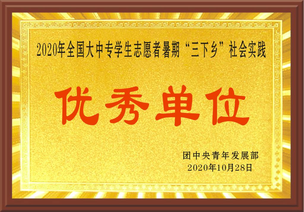2020年全国大中专学生志愿者暑期“三下乡”社会实践
